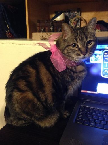 10406517_10153761270953079_1842484654681950316_n