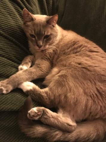 20526371_10156645120633079_7029232452925731020_n